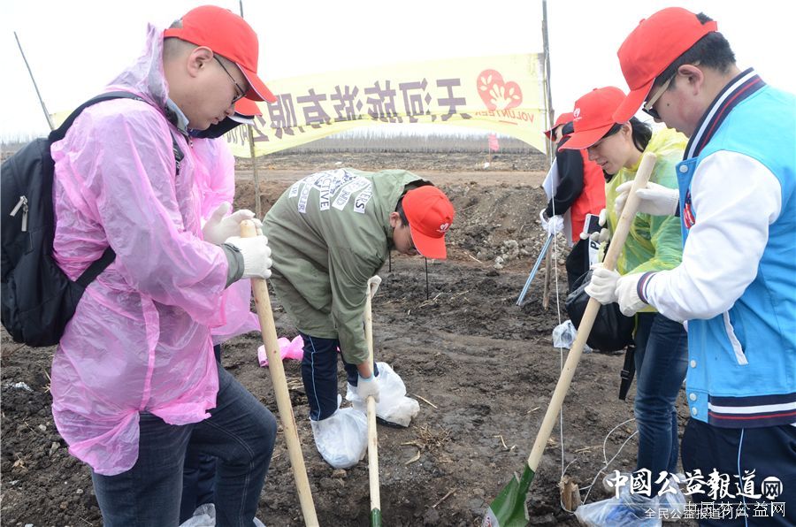 爱游戏(中国)圆满完成“保护青山绿水_共建大美龙江”千人公益植树志愿服务工作