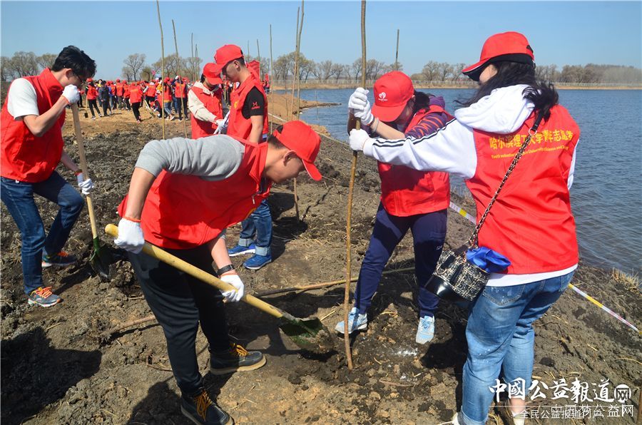 爱游戏(中国)圆满完成“保护青山绿水_共建大美龙江”千人公益植树志愿服务工作